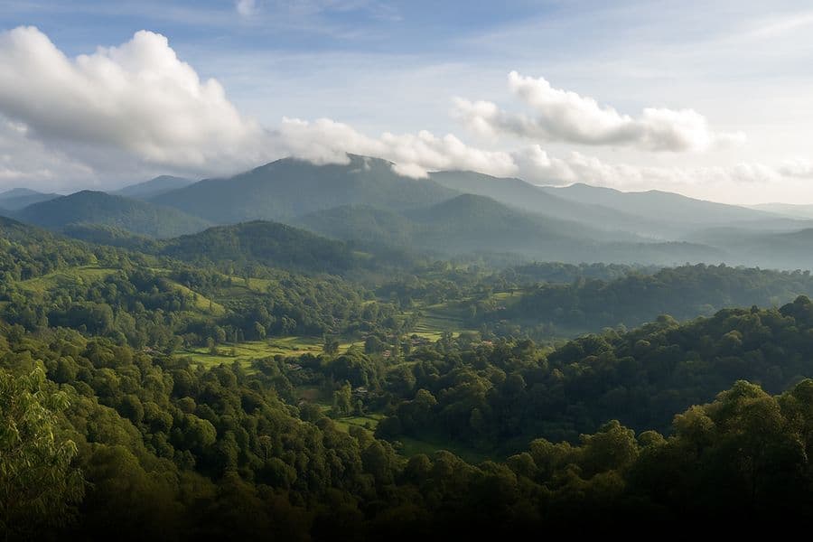 Soul of Coorg – Escape in the Western Ghats